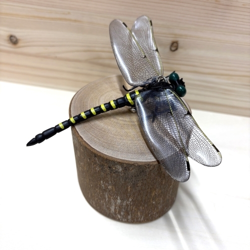 【北千住店】天敵を利用した虫除け『オニヤンマ』のご紹介