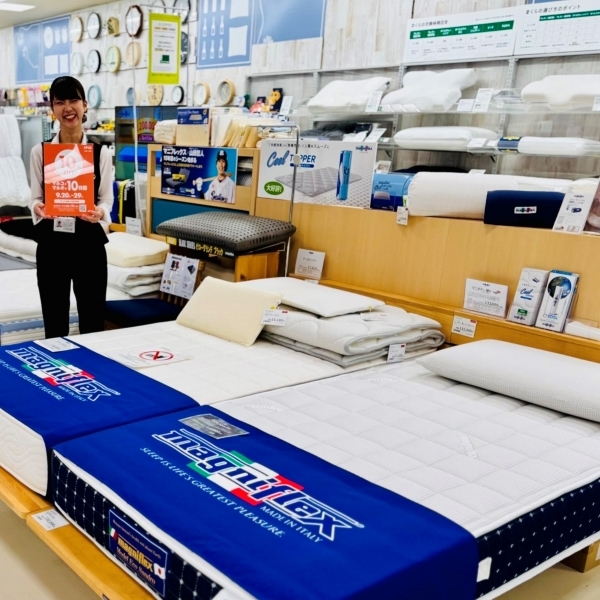 【北千住店】マニフレックス『エコサンドロ』北千住店に登場！